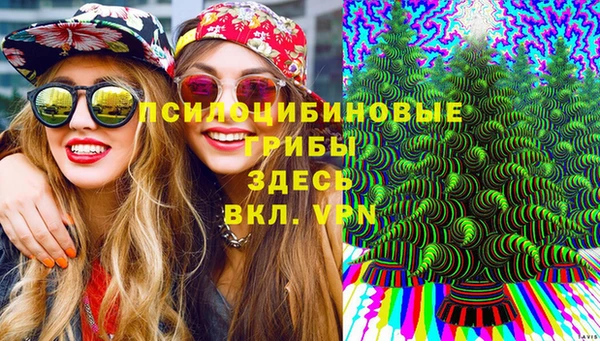 не бодяженный Аркадак